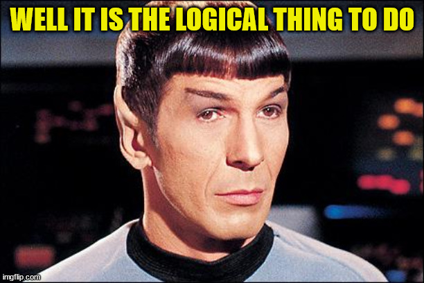 Condescending Spock | WELL IT IS THE LOGICAL THING TO DO | image tagged in condescending spock | made w/ Imgflip meme maker