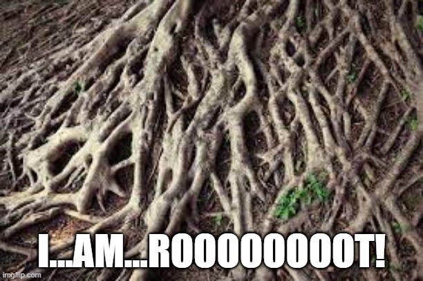 Somewhere Else in the Multiverse | I...AM...ROOOOOOOOT! | image tagged in groot | made w/ Imgflip meme maker