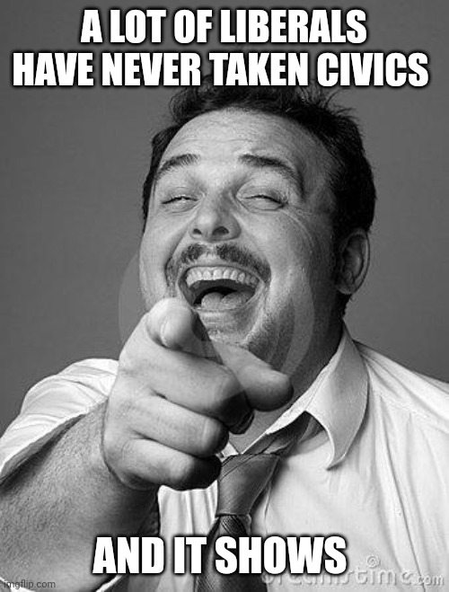 laughingguy | A LOT OF LIBERALS HAVE NEVER TAKEN CIVICS; AND IT SHOWS | image tagged in laughingguy | made w/ Imgflip meme maker