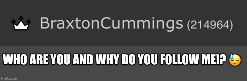 This a joke btw. Just so u know. Thx for following me <3 | WHO ARE YOU AND WHY DO YOU FOLLOW ME!? 😓 | image tagged in haheh | made w/ Imgflip meme maker