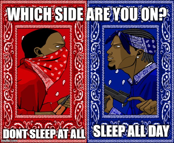 choose wisely | DONT SLEEP AT ALL; SLEEP ALL DAY | image tagged in which side are you on | made w/ Imgflip meme maker