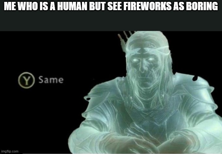 Y same better | ME WHO IS A HUMAN BUT SEE FIREWORKS AS BORING | image tagged in y same better | made w/ Imgflip meme maker