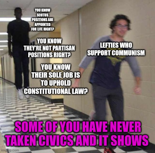 floating boy chasing running boy | YOU KNOW SCOTUS POSITIONS ARE APPOINTED FOR LIFE RIGHT? YOU KNOW THEY'RE NOT PARTISAN POSITIONS RIGHT? LEFTIES WHO SUPPORT COMMUNISM; YOU KNOW THEIR SOLE JOB IS TO UPHOLD CONSTITUTIONAL LAW? SOME OF YOU HAVE NEVER TAKEN CIVICS AND IT SHOWS | image tagged in floating boy chasing running boy | made w/ Imgflip meme maker