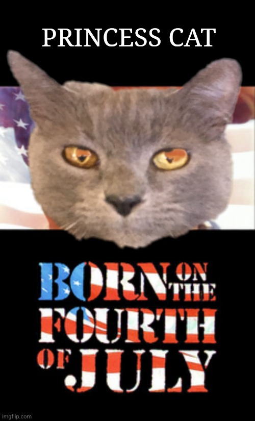 19yrs. ago today. | PRINCESS CAT | image tagged in princess,cat,birthday,fourth of july,pets | made w/ Imgflip meme maker