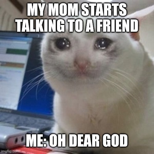 Crying cat | MY MOM STARTS TALKING TO A FRIEND; ME: OH DEAR GOD | image tagged in crying cat | made w/ Imgflip meme maker