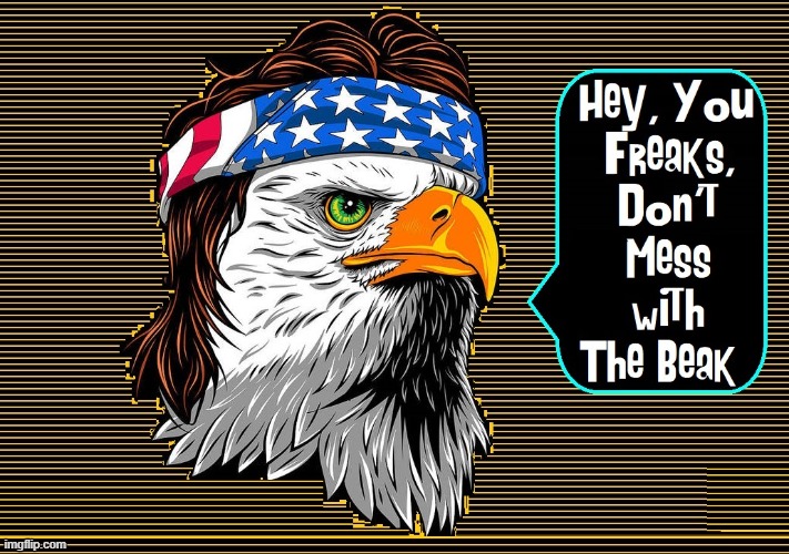 Happy Independence Day, Flippers! | image tagged in vince vance,patriotism,bald eagle,born in the usa,america,american flag | made w/ Imgflip meme maker