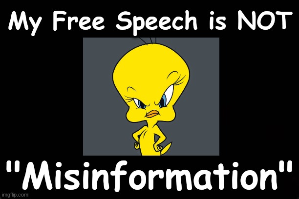My Free Speech is NOT "Misinformation" | My Free Speech is NOT; "Misinformation" | image tagged in tweety bird,free speech | made w/ Imgflip meme maker