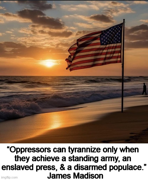 America | “Oppressors can tyrannize only when 
they achieve a standing army, an 
enslaved press, & a disarmed populace.”; James Madison | image tagged in politics,oppressors,america,biased media,second amendment,liberals vs conservatives | made w/ Imgflip meme maker