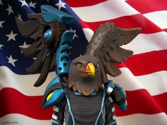 "Uh... you realize I'm a Tlanuwa hawk, not an eagle, right?" | image tagged in american flag | made w/ Imgflip meme maker