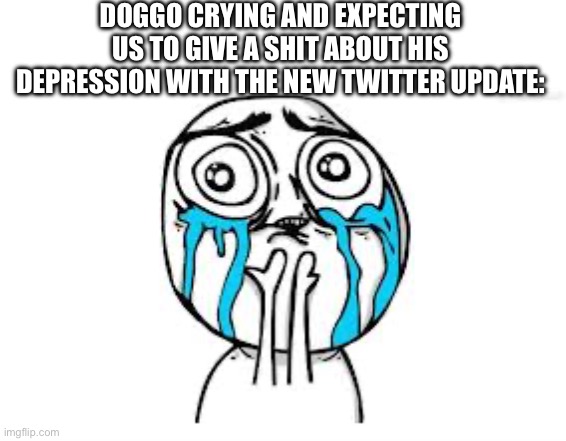 Crying Because Of Cute | DOGGO CRYING AND EXPECTING US TO GIVE A SHIT ABOUT HIS DEPRESSION WITH THE NEW TWITTER UPDATE: | image tagged in memes,crying because of cute | made w/ Imgflip meme maker