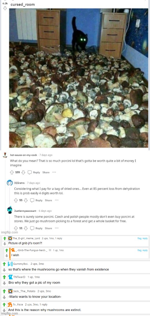 Cursed room: The cursed comments | image tagged in the room,mushrooms,mushroom,cat,cursed,weird | made w/ Imgflip meme maker