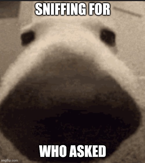 Sniffing for who asked Blank Meme Template
