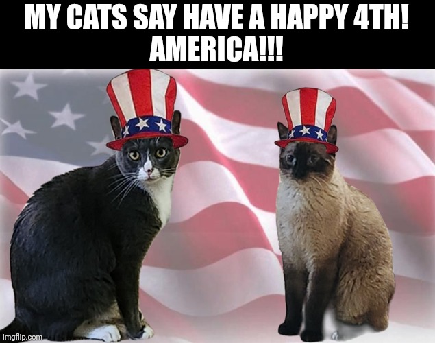 Happy 4th Everybody! ?? ?? | MY CATS SAY HAVE A HAPPY 4TH!
AMERICA!!! | image tagged in 4th of july,cats,yes | made w/ Imgflip meme maker