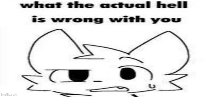 made w/ Imgflip meme maker