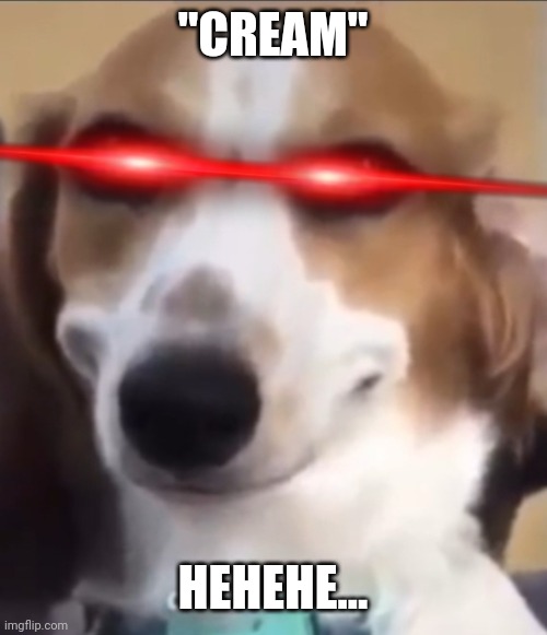 Bttb dog | "CREAM" HEHEHE... | image tagged in bttb dog | made w/ Imgflip meme maker