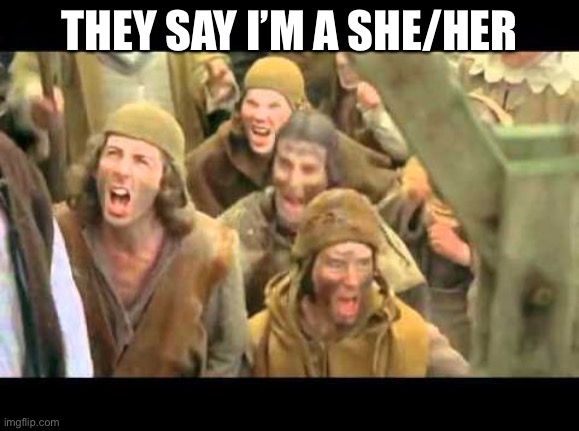 Girl | THEY SAY I’M A SHE/HER | image tagged in she's a witch burn her monty python | made w/ Imgflip meme maker