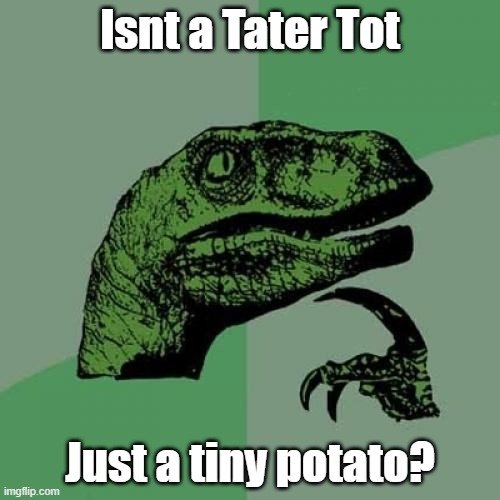 TINY POTATO | Isnt a Tater Tot; Just a tiny potato? | image tagged in memes,philosoraptor | made w/ Imgflip meme maker