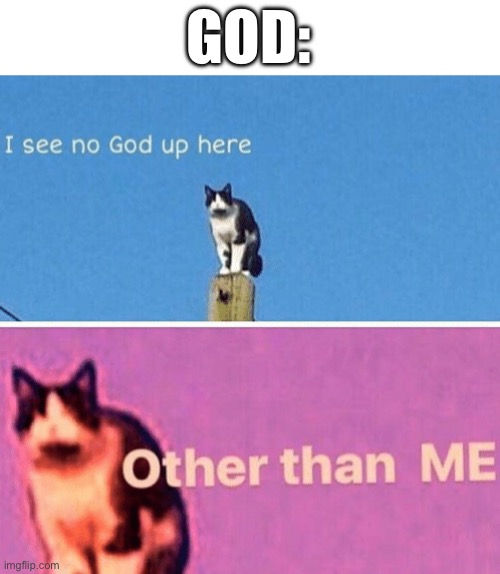 Yee Christianity | GOD: | image tagged in hail pole cat,god,buddy christ | made w/ Imgflip meme maker