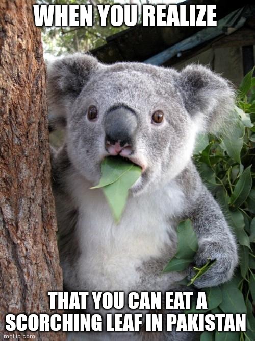 EWWWWWWW | WHEN YOU REALIZE; THAT YOU CAN EAT A SCORCHING LEAF IN PAKISTAN | image tagged in memes,surprised koala,pakistan,disgusting,flaming leaf | made w/ Imgflip meme maker