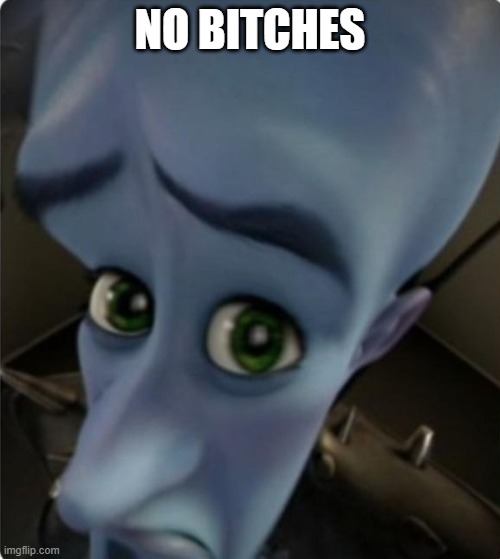 Megamind No Bitches Blank Template | NO BITCHES | image tagged in megamind no bitches blank template | made w/ Imgflip meme maker