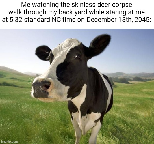 cow | Me watching the skinless deer corpse walk through my back yard while staring at me at 5:32 standard NC time on December 13th, 2045: | image tagged in cow | made w/ Imgflip meme maker