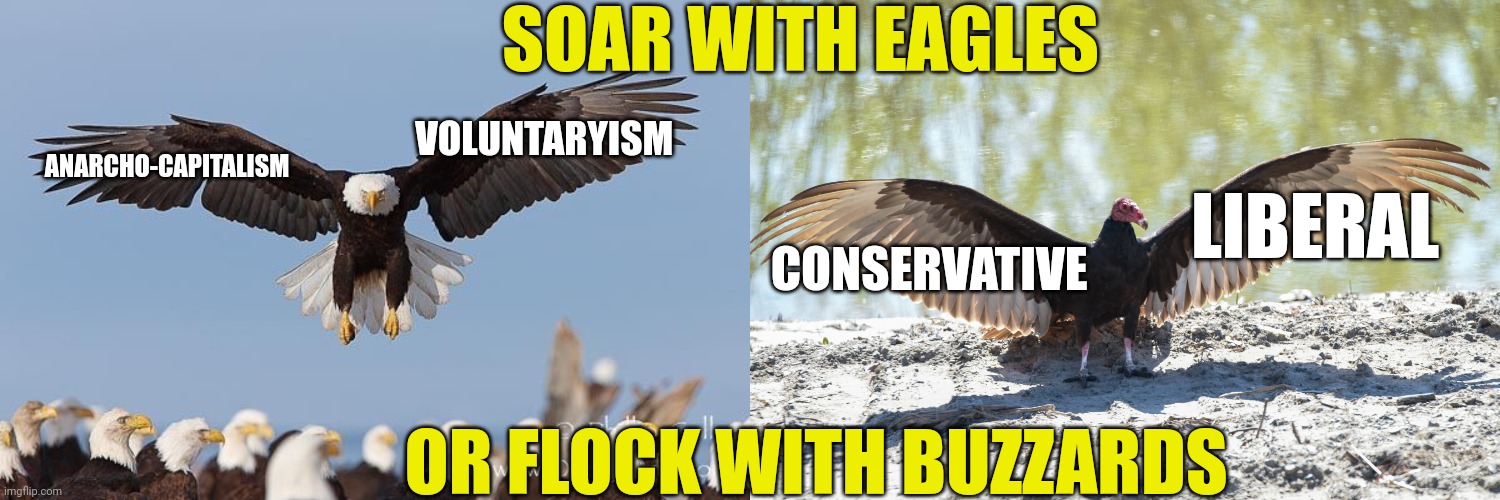 SOAR WITH EAGLES; VOLUNTARYISM; ANARCHO-CAPITALISM; LIBERAL; CONSERVATIVE; OR FLOCK WITH BUZZARDS | made w/ Imgflip meme maker