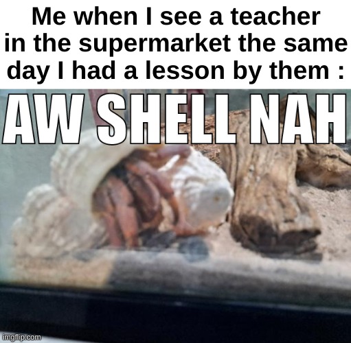 Nah bro not saying hello | Me when I see a teacher in the supermarket the same day I had a lesson by them : | image tagged in memes,funny,relatable,teachers,supermarket,front page plz | made w/ Imgflip meme maker