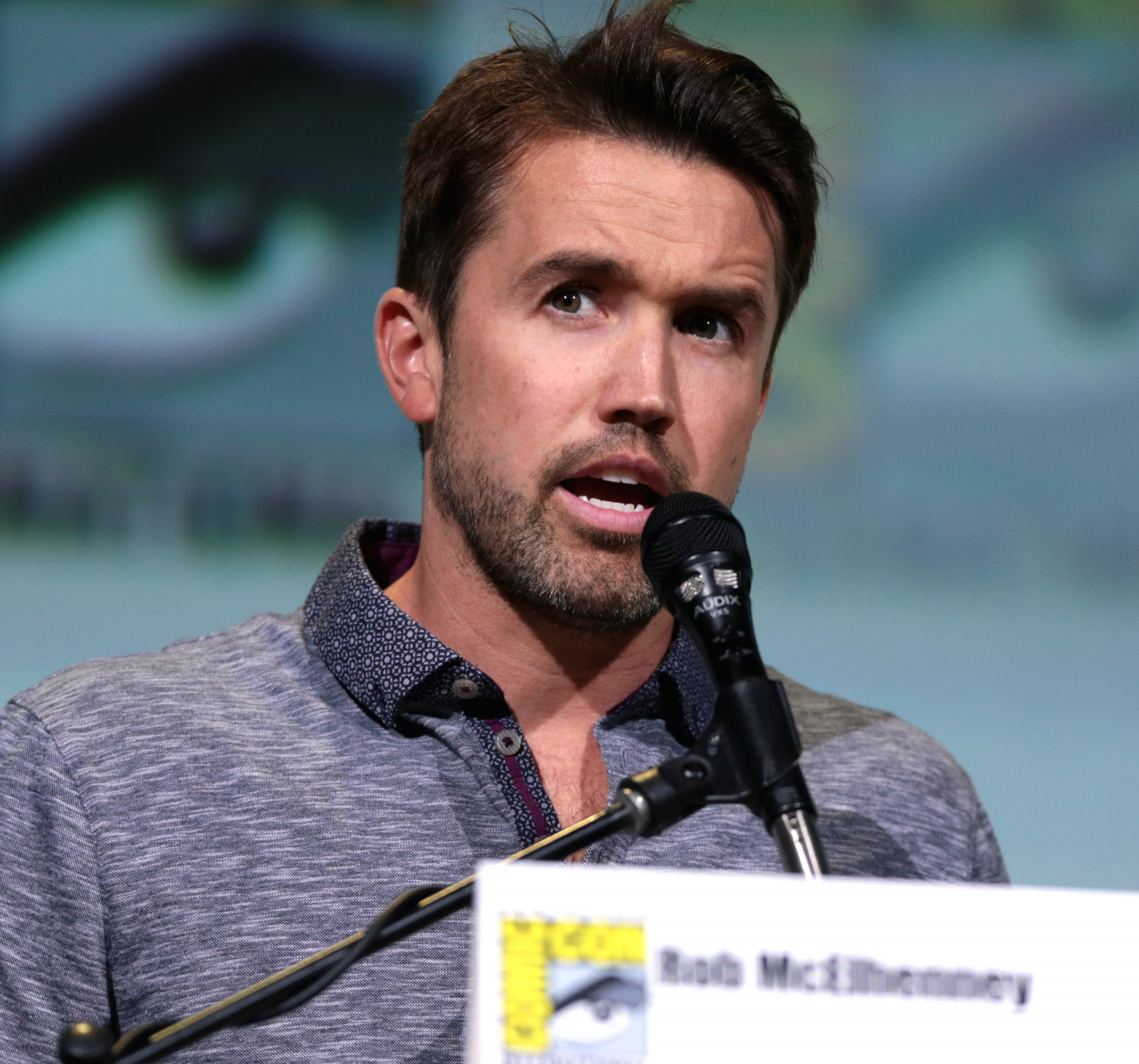 Rob McElhenney - Wikipedia Blank Meme Template