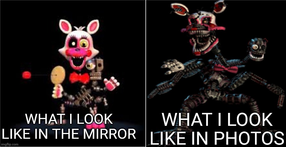 This is too true... | WHAT I LOOK LIKE IN PHOTOS; WHAT I LOOK LIKE IN THE MIRROR | image tagged in mangle | made w/ Imgflip meme maker
