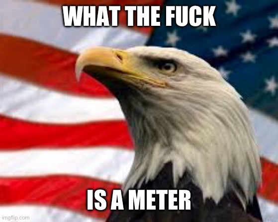 Murica Patriotic Eagle | WHAT THE FUCK IS A METER | image tagged in murica patriotic eagle | made w/ Imgflip meme maker
