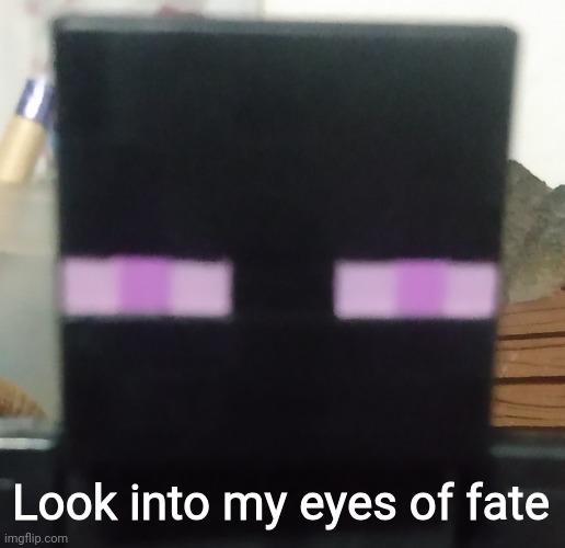 Enderman stare | Look into my eyes of fate | image tagged in enderman stare | made w/ Imgflip meme maker