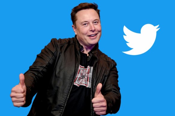 High Quality Elan Musk Blank Meme Template