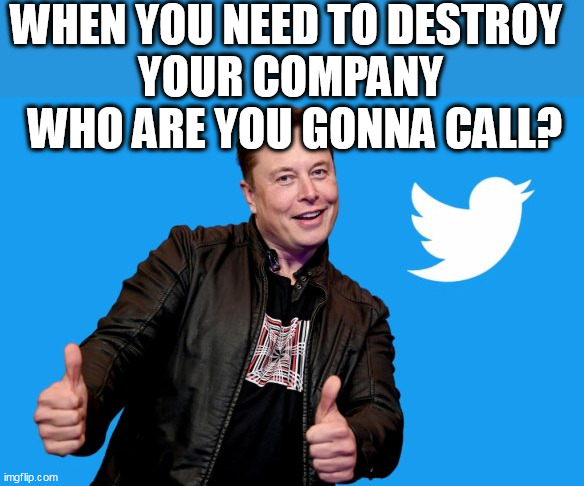 When you need to destroy your company  who are you gonna call? | WHEN YOU NEED TO DESTROY 
YOUR COMPANY
 WHO ARE YOU GONNA CALL? | image tagged in funny,twitter,tweet,elon musk,business | made w/ Imgflip meme maker