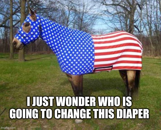 It's A Big Job | I JUST WONDER WHO IS GOING TO CHANGE THIS DIAPER | image tagged in 4th of july,horse,psy horse dance,diaper,dirty diaper,'murica | made w/ Imgflip meme maker