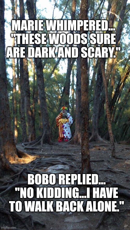 MARIE WHIMPERED... "THESE WOODS SURE ARE DARK AND SCARY."; BOBO REPLIED... "NO KIDDING...I HAVE TO WALK BACK ALONE." | image tagged in creepy clowns,woods | made w/ Imgflip meme maker