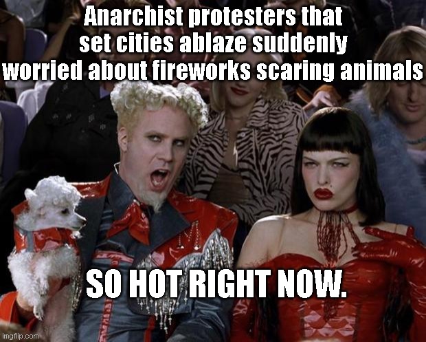 Just in time for Independence Day | Anarchist protesters that set cities ablaze suddenly worried about fireworks scaring animals; SO HOT RIGHT NOW. | image tagged in memes,mugatu so hot right now,leftists,anarchy,hypocrisy,4th of july | made w/ Imgflip meme maker