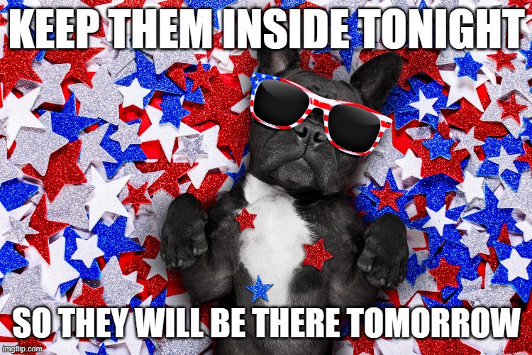 It's inside night for the dogs and cats! | KEEP THEM INSIDE TONIGHT; SO THEY WILL BE THERE TOMORROW | image tagged in cat,dog,4th,july | made w/ Imgflip meme maker