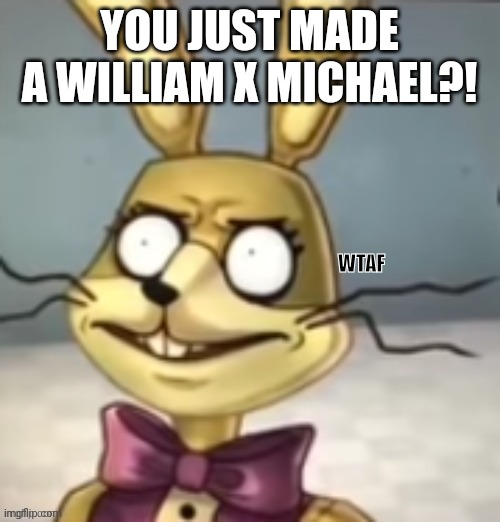 Glitchtrap has never seen such bullsh*t before | YOU JUST MADE A WILLIAM X MICHAEL?! WTAF | image tagged in glitchtrap has never seen such bullsh t before | made w/ Imgflip meme maker