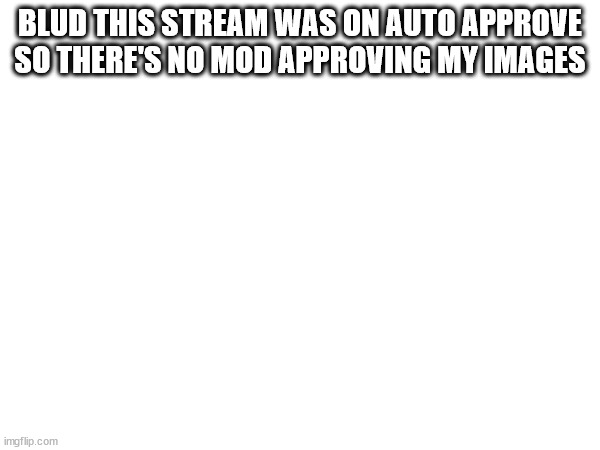 BLUD THIS STREAM WAS ON AUTO APPROVE SO THERE'S NO MOD APPROVING MY IMAGES | made w/ Imgflip meme maker