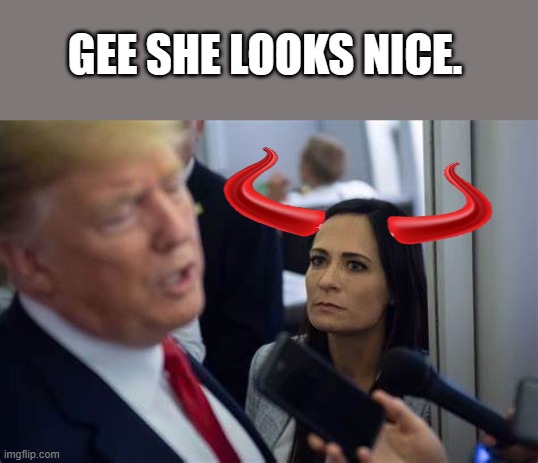 Atleast the demrats hired a brunet this time. | GEE SHE LOOKS NICE. | image tagged in democrats,liars | made w/ Imgflip meme maker