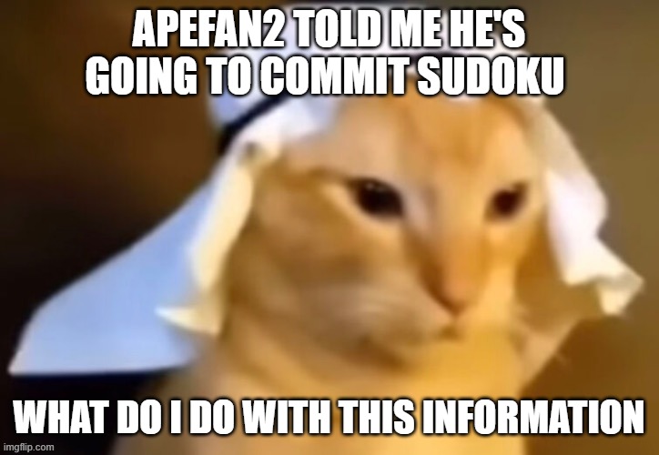 haram cat | APEFAN2 TOLD ME HE'S GOING TO COMMIT SUDOKU; WHAT DO I DO WITH THIS INFORMATION | image tagged in haram cat | made w/ Imgflip meme maker