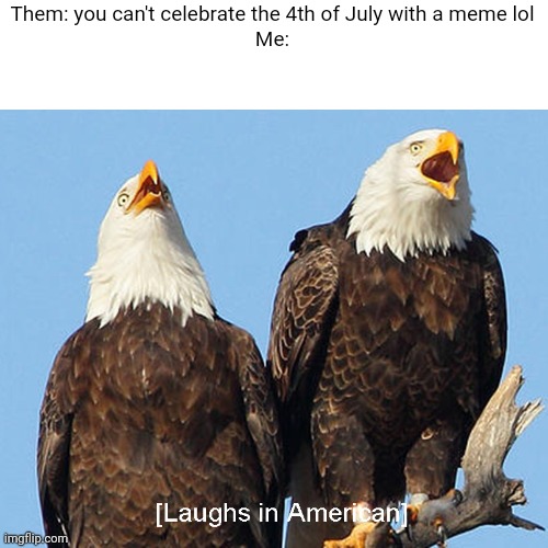 laughs in american | Them: you can't celebrate the 4th of July with a meme lol
Me: | image tagged in laughs in american | made w/ Imgflip meme maker