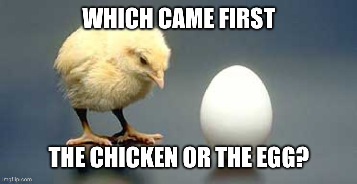 There's no universally correct answer, but the "why" part can be interesting to dissect | WHICH CAME FIRST; THE CHICKEN OR THE EGG? | image tagged in chicken and egg | made w/ Imgflip meme maker