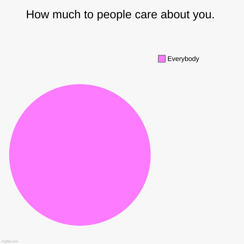 How much people care about you | How much to people care about you. | Everybody | image tagged in charts,pie charts | made w/ Imgflip chart maker