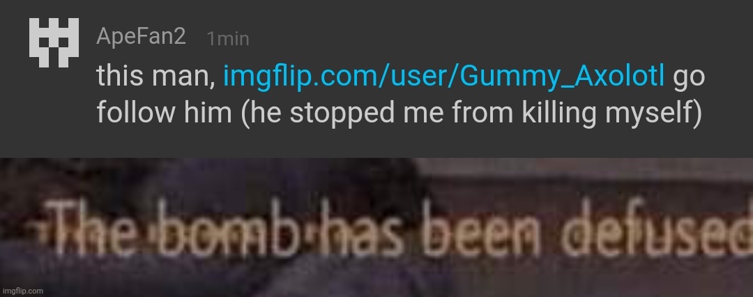 image tagged in the bomb has been defused | made w/ Imgflip meme maker