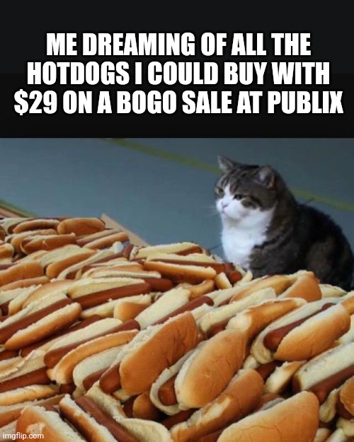 Cat hotdogs | ME DREAMING OF ALL THE HOTDOGS I COULD BUY WITH $29 ON A BOGO SALE AT PUBLIX | image tagged in cat hotdogs | made w/ Imgflip meme maker