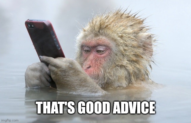 monkey cell phone | THAT'S GOOD ADVICE | image tagged in monkey cell phone | made w/ Imgflip meme maker