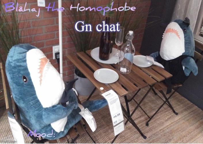 Blåhaj annoucment template | Gn chat | image tagged in bl haj annoucment template | made w/ Imgflip meme maker