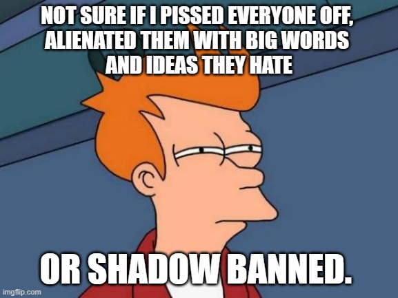 Shadow Banned, big words, ideas | NOT SURE IF I PISSED EVERYONE OFF,  
ALIENATED THEM WITH BIG WORDS 
AND IDEAS THEY HATE; OR SHADOW BANNED. | image tagged in memes,futurama fry | made w/ Imgflip meme maker