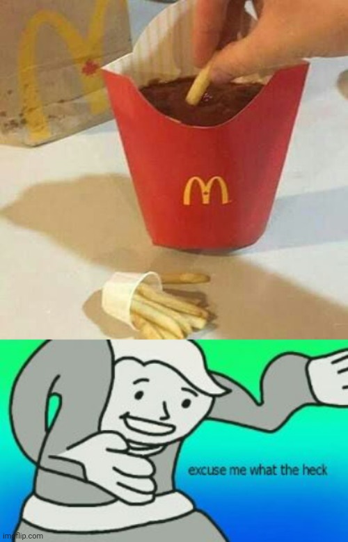Meme #2,349 | image tagged in excuse me what the heck,memes,food,fries,cursed image,cursed | made w/ Imgflip meme maker